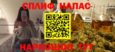соль ск Славгород