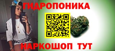дистиллят марихуана Сланцы